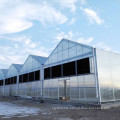 Transparent Agricultural Polycarbonate Sheet Board PC Sheet